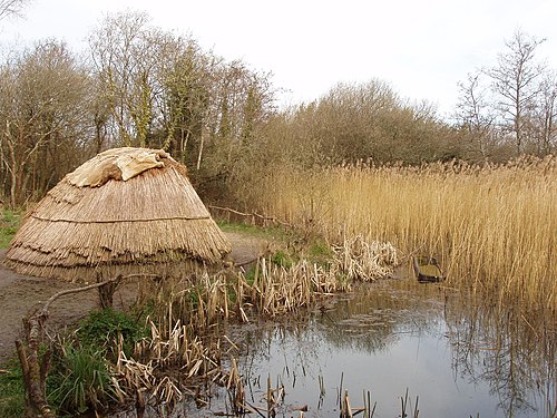 Mesolithic Ireland